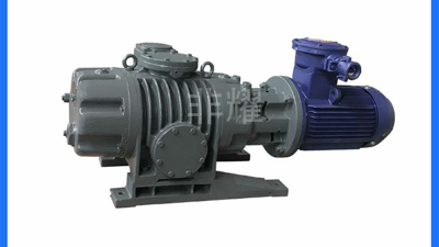 理清多级罗茨真空泵泵腔清理工作【非耀】