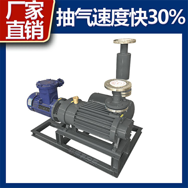 螺杆式真空泵