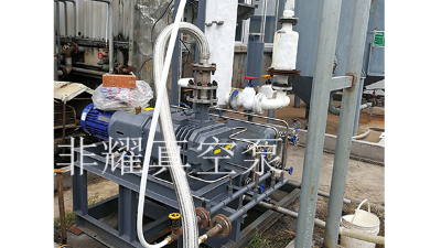 掌握这两点干式螺杆真空泵的选型变简单【非耀】