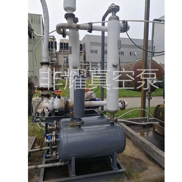 无油螺杆真空泵