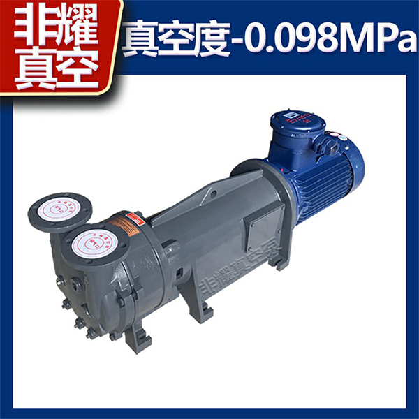 耐腐蚀水环真空泵