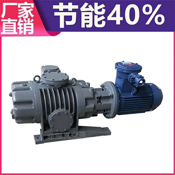 罗茨真空泵型号