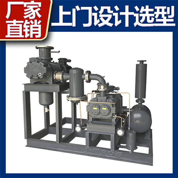 罗茨真空泵机组型号