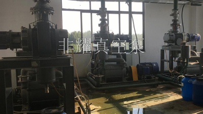 深究ZJP罗茨真空泵在行业里的应用【非耀】